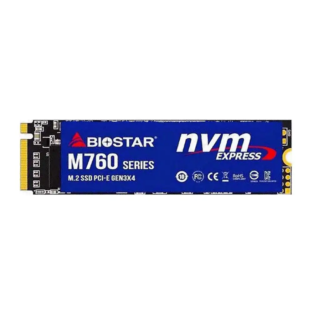 Biostar M760 M.2 Internal SSD Drive - 256GB