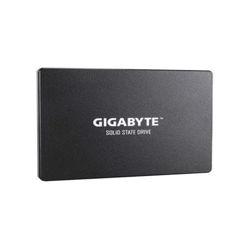 Gigabyte GP-GSTFS31256GTND 256GB 2.5 inch Internal SSD