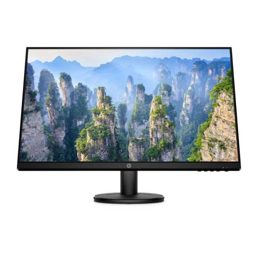 HP P204 19.5 inch Monitor