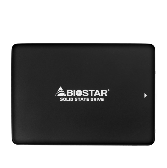 Biostar G330 Internal SSD Drive - 256GB