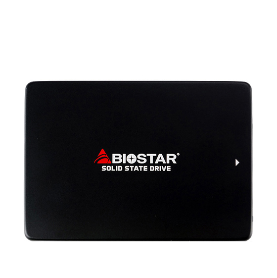 Biostar SSD S100 Internal SSD Drive - 120GB