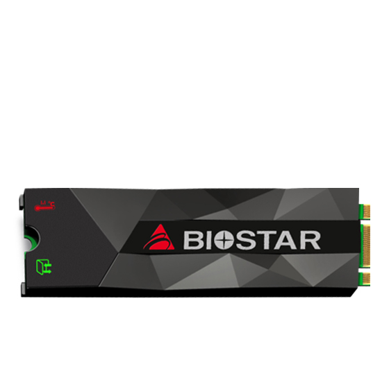 Biostar M500 Series M.2 Internal SSD Drive - 1TB