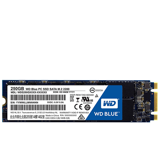 Western Digital BLUE WDS250G1B0B M.2 SSD Drive - 250GB