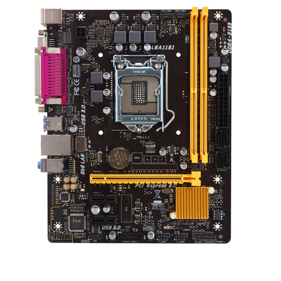 BIOSTAR H110MDS2 PRO D4 Motherboard