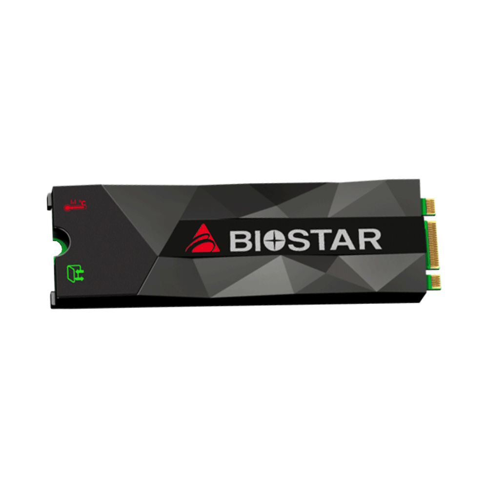 Biostar SSD M2 M500 256GB Used