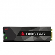 حافظه SSD اینترنال بایوستار مدل M500 ظرفیت 512 گیگابایت Biostar M500 Series M.2 Internal SSD Drive - 512GB